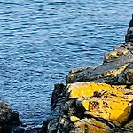 Lejlighed Sea Views Cliffs 50 M From The Sea In Sandvig Allinge-Sandvig