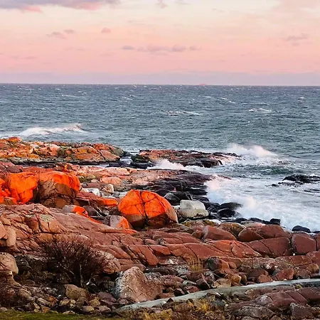 Sea Views Cliffs 50 M From The Sea In Sandvig * Allinge-Sandvig