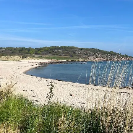 Sea Views Cliffs 50 M From The Sea In Sandvig דירה *
