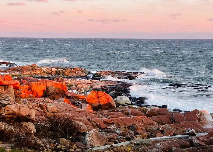 Sea Views Cliffs 50 M From The Sea In Sandvig * Allinge-Sandvig