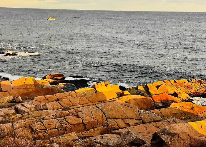 Apartamento Sea Views Cliffs 50 M From The Sea In Sandvig *